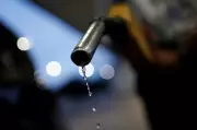 Vibra Energia adere a programa de subvenção ao diesel do governo federal