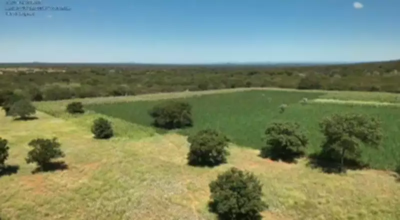 200 mil pés de maconha são erradicados na Chapada Diamantina pela Polícia Civil