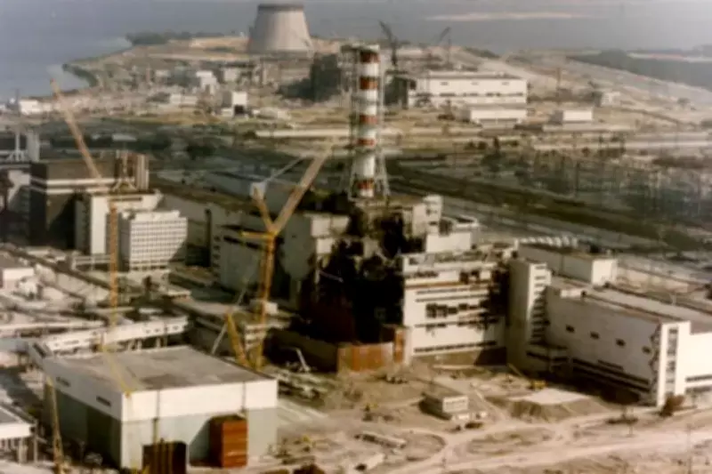 40 anos após Chernobyl: cães mutantes, javalis radioativos e fungo que come radiação