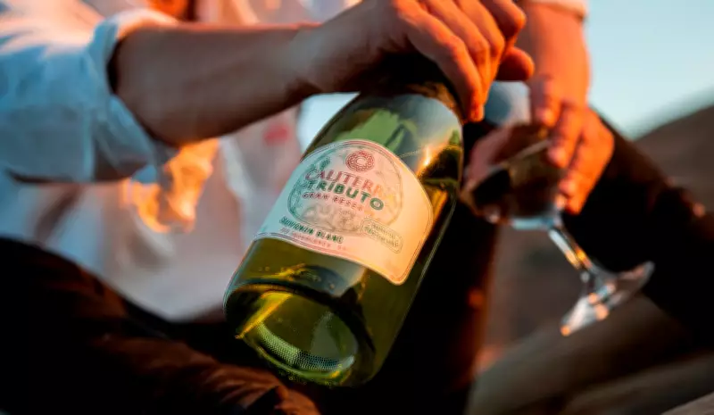 5 Sauvignon Blanc imperdíveis para celebrar o Dia Mundial da uva