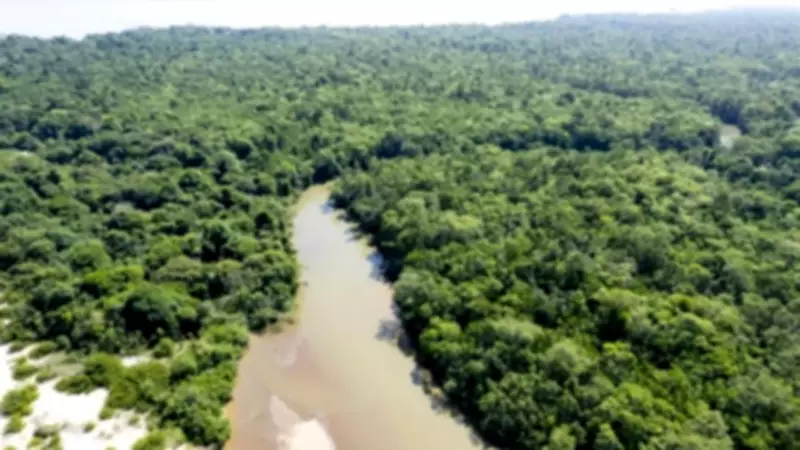 Acordo UE-Mercosul entra em vigor no Brasil: impactos no agro e Amazônia