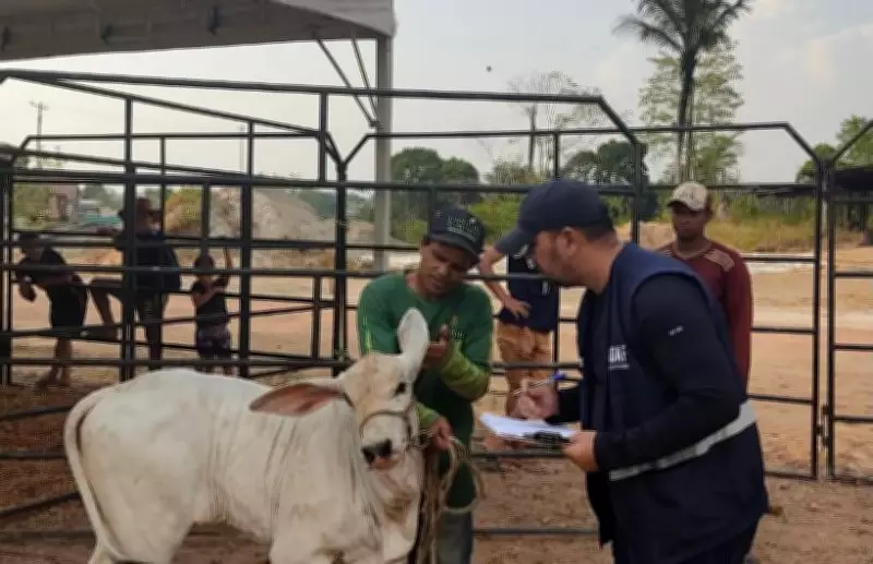 Adaf confirma novo caso de raiva animal em Presidente Figueiredo
