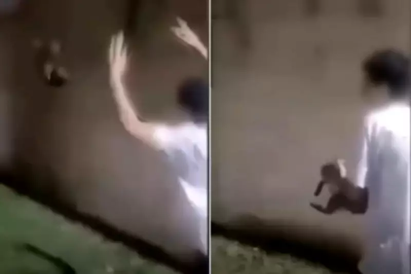 Adolescente é filmado arremessando gato em canal em Praia Grande, SP