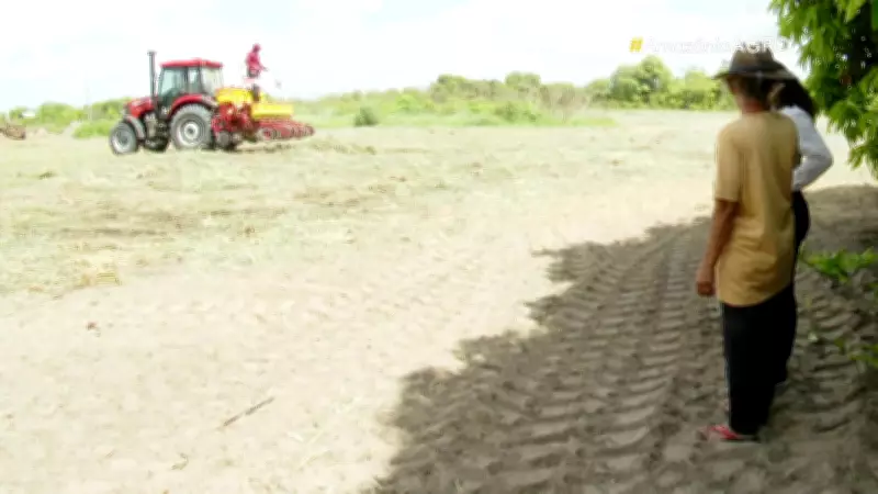 Agricultores familiares iniciam plantio da safra 2026 de milho em Boa Vista