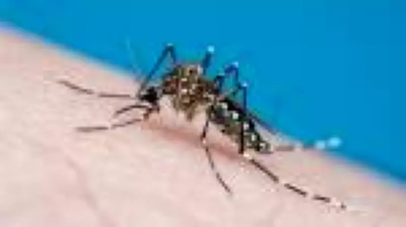Anvisa autoriza Butantan a produzir vacina contra chikungunya no Brasil