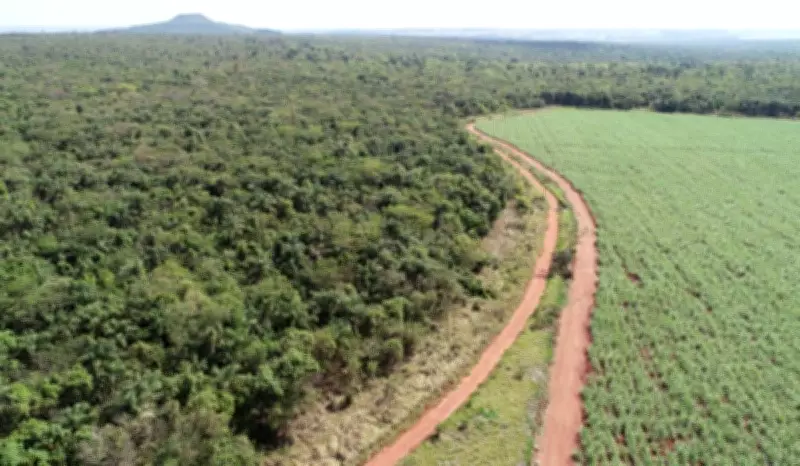 Assentamentos do Pontal do Paranapanema recebem R$ 7,3 mi para restauração
