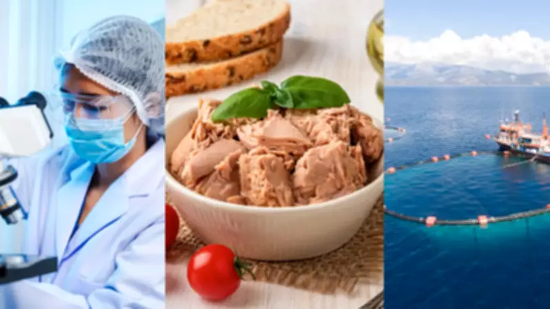 Atum: benefícios, riscos e a ameaça da extinção por pesca excessiva