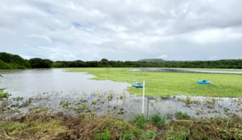 Açude do Xaréu transborda em Fernando de Noronha após fortes chuvas