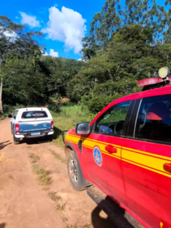 Aves de rapina ajudam bombeiros a localizar corpo de homem desaparecido em MG