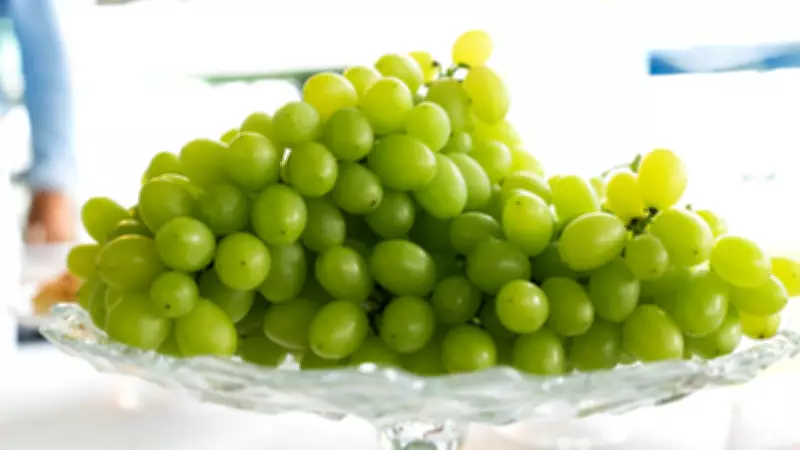 Bactérias ameaçam fruticultura no Vale do São Francisco; saiba como prevenir