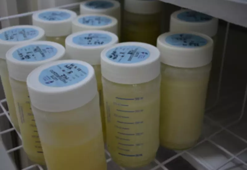 Banco de Leite em Palmas precisa de doações para UTIs neonatais do TO
