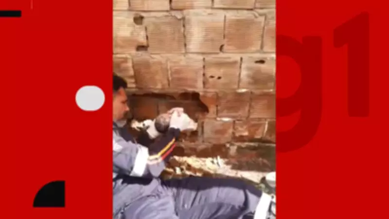 Bebê recém-nascido abandonado em vão de parede morre no Hospital Edson Ramalho na Paraíba