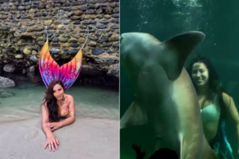 Bióloga vira sereia em aquário e viraliza ao nadar com tubarões