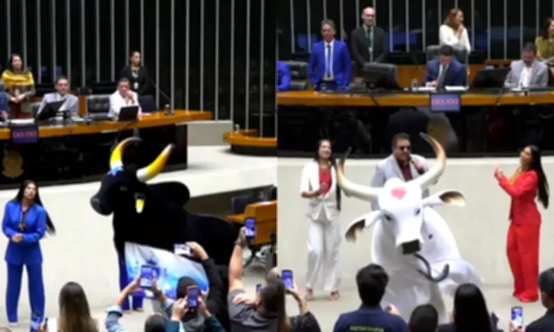Bois Caprichoso e Garantido são homenageados na Câmara dos Deputados