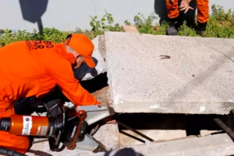 Bombeiros resgatam filhotes de cão e gato em bueiros em MT