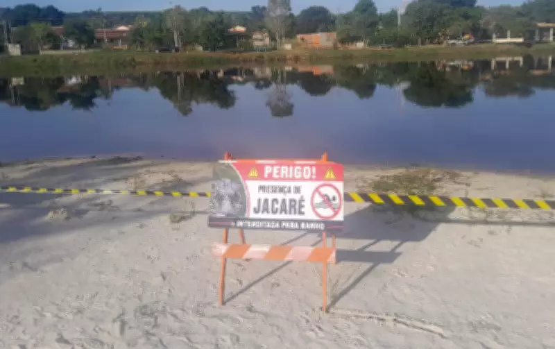 Botucatu interdita lagoa após jacaré ser flagrado em área de lazer