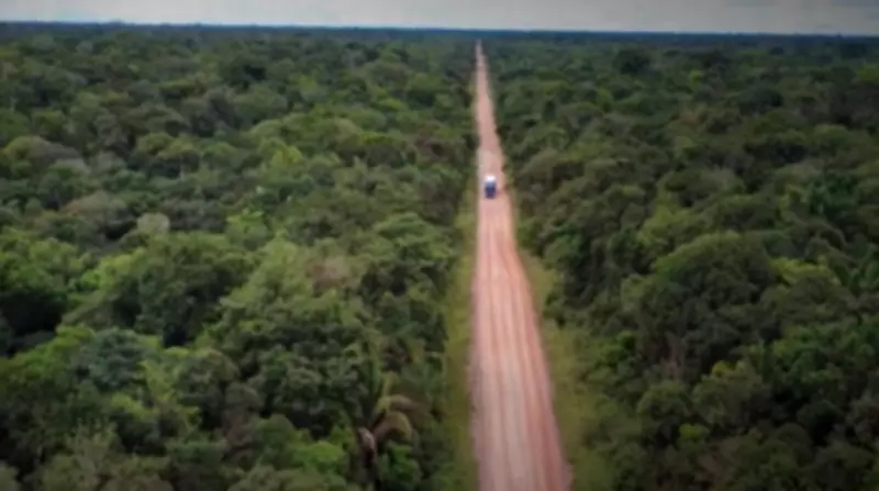 BR-319: desafios no escoamento da produção e integração da Amazônia