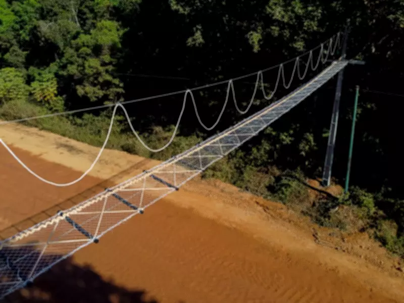 BR-319: reconstrução sem comprometer a floresta amazônica?