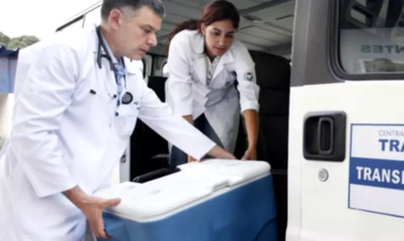 Brasil bate recorde histórico com 31 mil transplantes em 2025