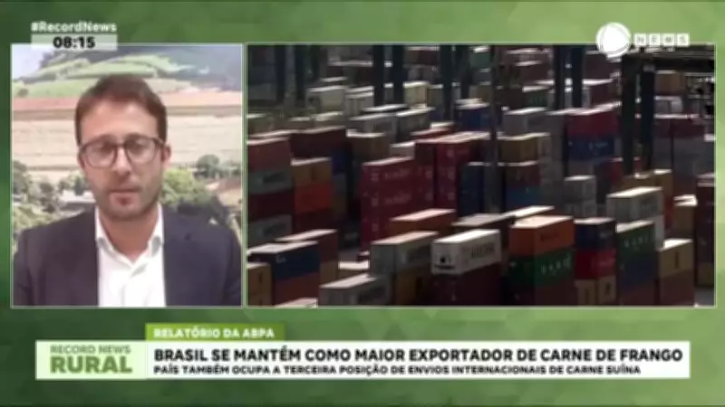 Brasil lidera exportação mundial de carne de frango e é terceiro maior produtor