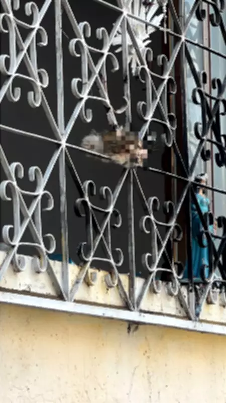 Cabeça de gato pendurada em janela choca moradores de Divinópolis