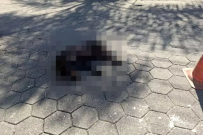Cachorro morre arrastado por 1 km em Caraguatatuba; polícia investiga