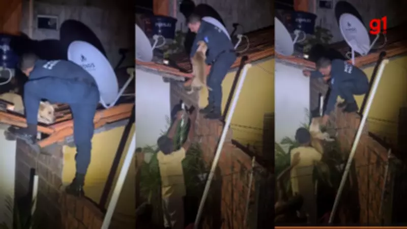 Cachorro é resgatado em telhado por policiais no Piauí