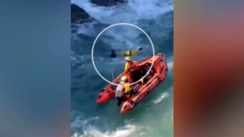 Cadela sobrevive após cair de penhasco de 18 metros na Inglaterra