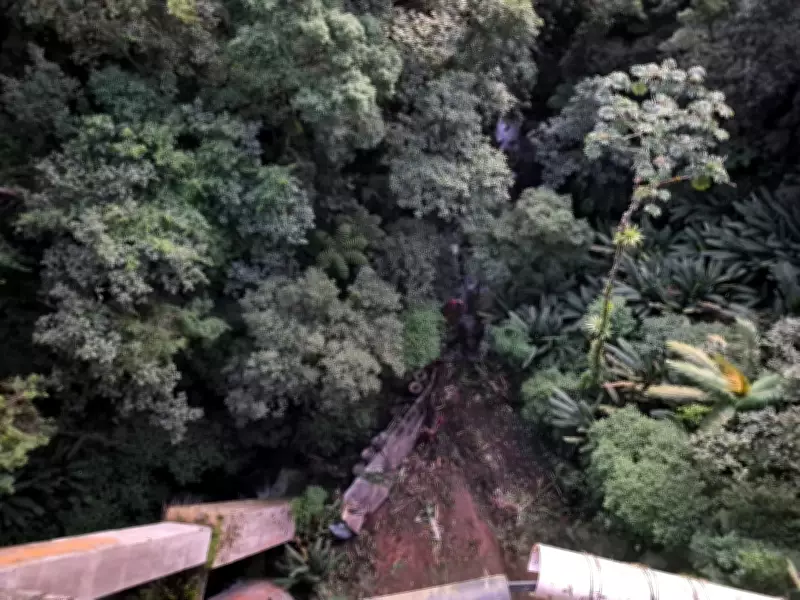 Caminhão cai de viaduto após batida na BR-277 em Morretes