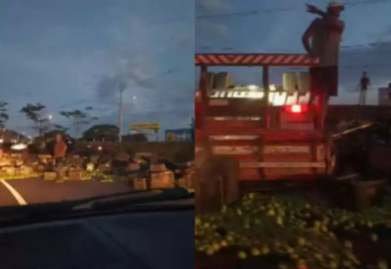 Caminhão carregado de laranjas tomba e interdita rodovia em Mirassol