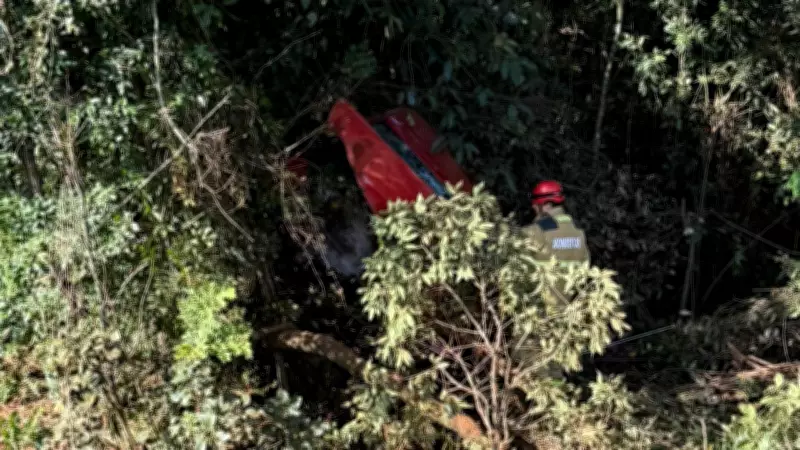 Caminhonete cai em ribanceira de 7 metros na MG-233; motorista sai ileso