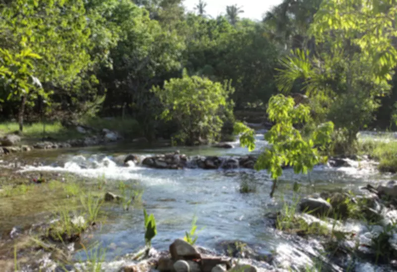 Camping Ana Júlia: refúgio de águas cristalinas no TO é o 'Caribe do Cerrado'