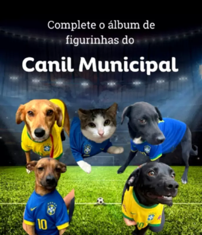 Canil de Juiz de Fora usa Copa 2026 para incentivar adoção de animais