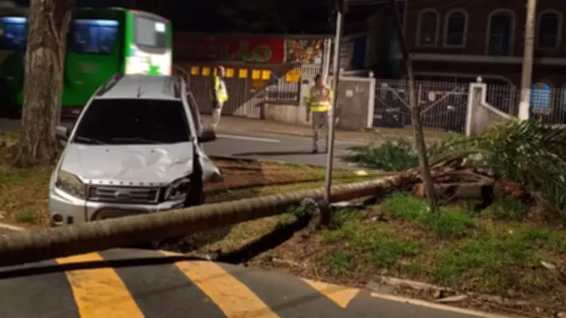Carro colide contra árvore e interdita avenida em Campinas no sábado