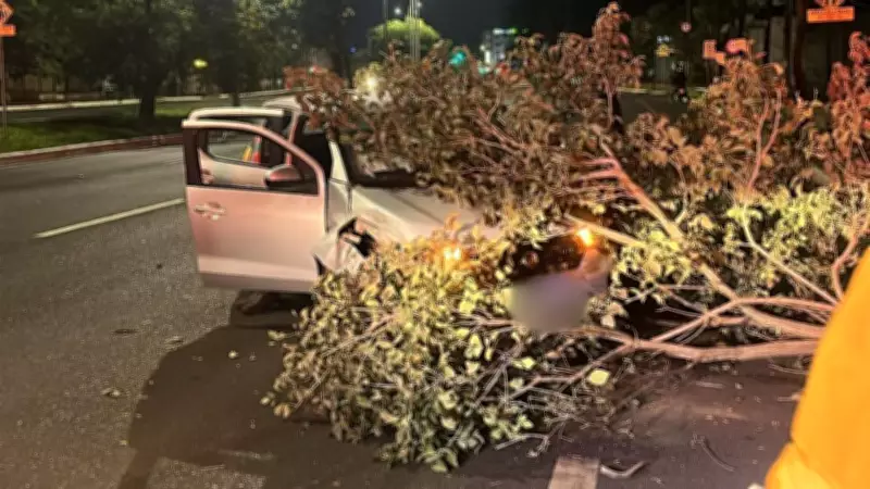 Carro colide contra árvore na avenida Rondon Pacheco em Uberlândia