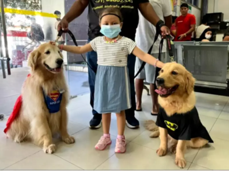 Cães super-heróis alegram crianças com câncer em hospital de Belém
