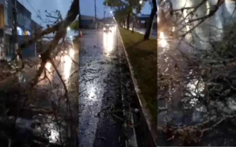 Chuva com ventos de 70 km/h causa estragos em Pouso Alegre, MG