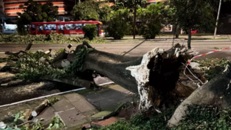 Chuva e vento forte causam estragos e transtornos no Rio Grande do Sul