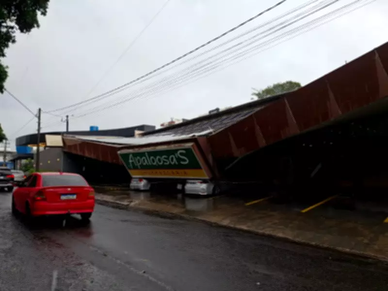 Chuva intensa causa alagamentos, queda de árvores e danos em Bauru