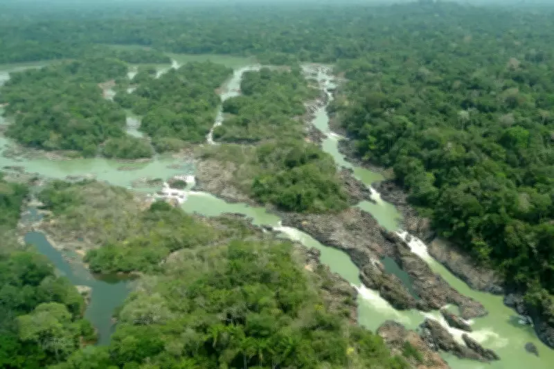 Câmara aprova projeto que reduz área protegida da Floresta do Jamanxim