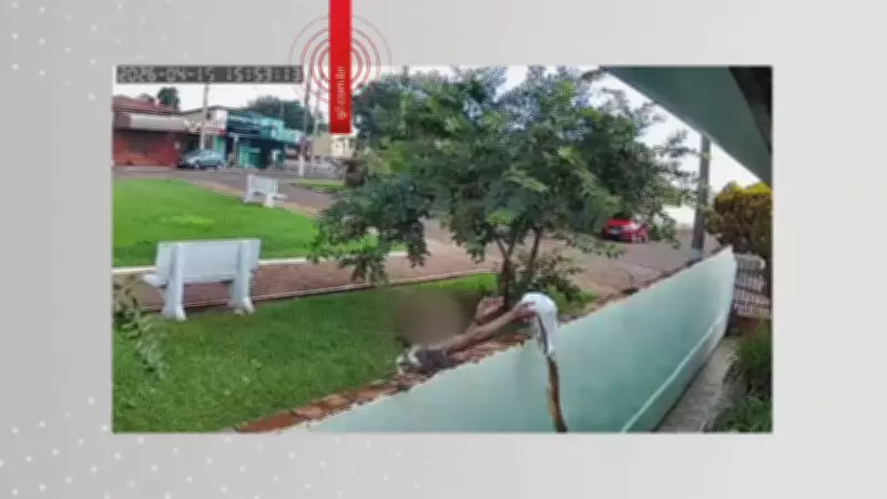 Câmera flagra vizinha jogando líquido com fezes em quintal de casa em Arandu