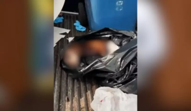 Cão encontrado vivo em saco de lixo morre após maus-tratos em Presidente Prudente