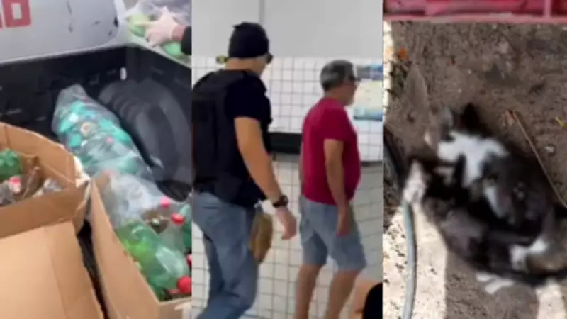 Comerciante preso por venda ilegal de veneno no Piauí é solto após fiança