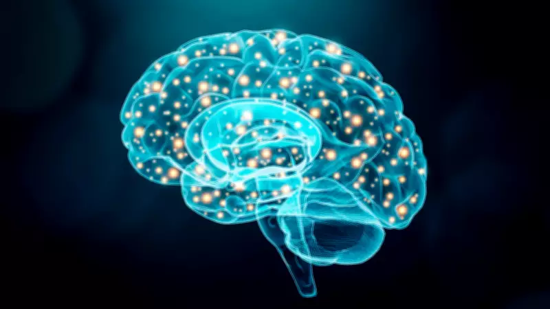 Como prevenir o envelhecimento do cérebro: dicas de um neurocientista