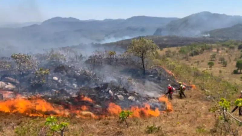 Defesa Civil de SP alerta para alto risco de incêndios entre junho e outubro