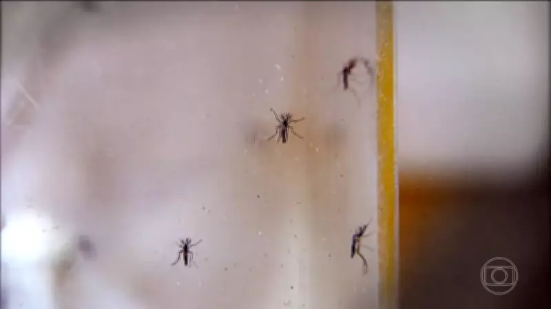 Dengue volta a preocupar Goiás e Tocantins com explosão de casos graves