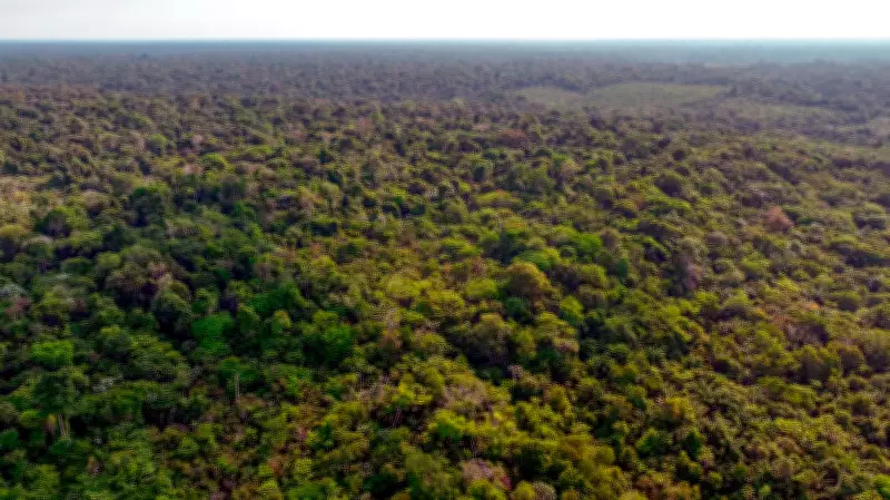 Desafio Bioinovação Amazônia busca transformar biodiversidade em negócios globais