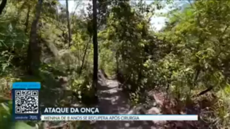 DF2: Vídeos e notícias de sexta-feira, 15 de maio de 2026
