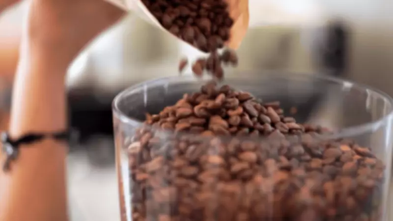 Dia Nacional do Café: produtores do DF compartilham desafios e dicas para um café de qualidade