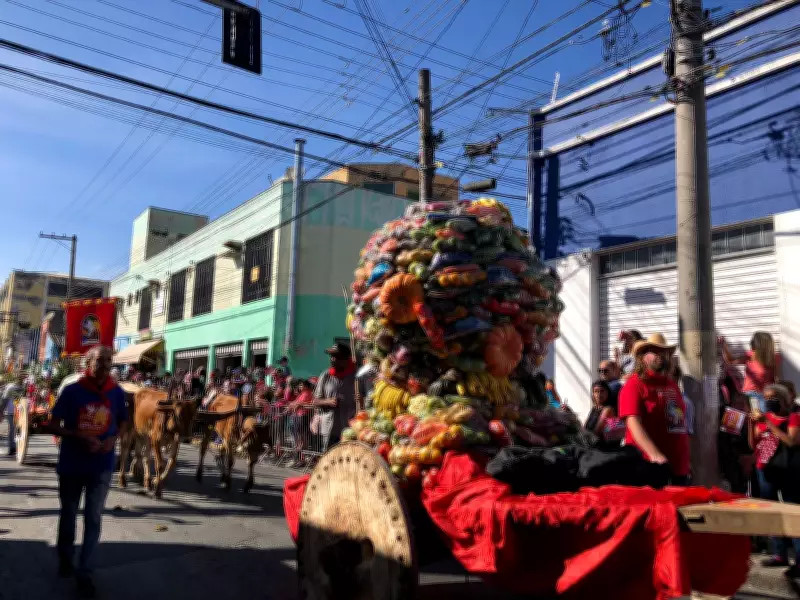 Entrada dos Palmitos altera trânsito e transporte em Mogi das Cruzes neste sábado
